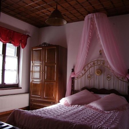 Mansion Theodora Hotel Makrinítsa Buitenkant foto