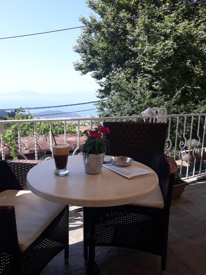 Mansion Theodora Hotel Makrinítsa Buitenkant foto