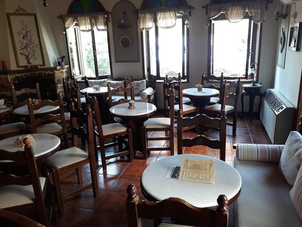 Mansion Theodora Hotel Makrinítsa Buitenkant foto