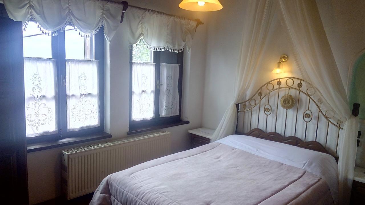 Mansion Theodora Hotel Makrinítsa Buitenkant foto