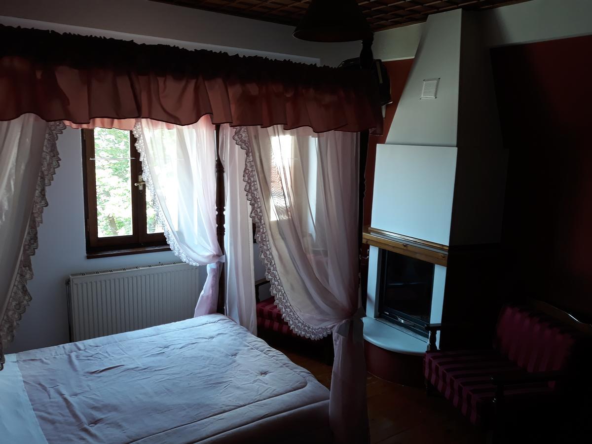 Mansion Theodora Hotel Makrinítsa Buitenkant foto